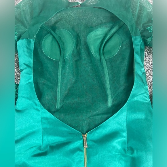 Elegant Green Sheer- Lace & Satin Dress - Picture 8 of 16